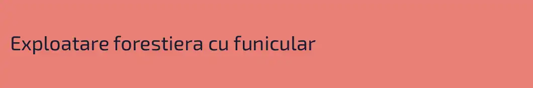 Exploatare forestiera cu funicular